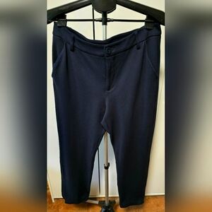 Stylish Navy Blue Pants